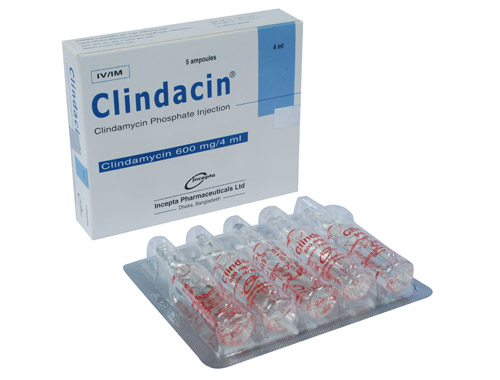 Picture of Clindacin 4ml (600mg/4ml) Ampoules